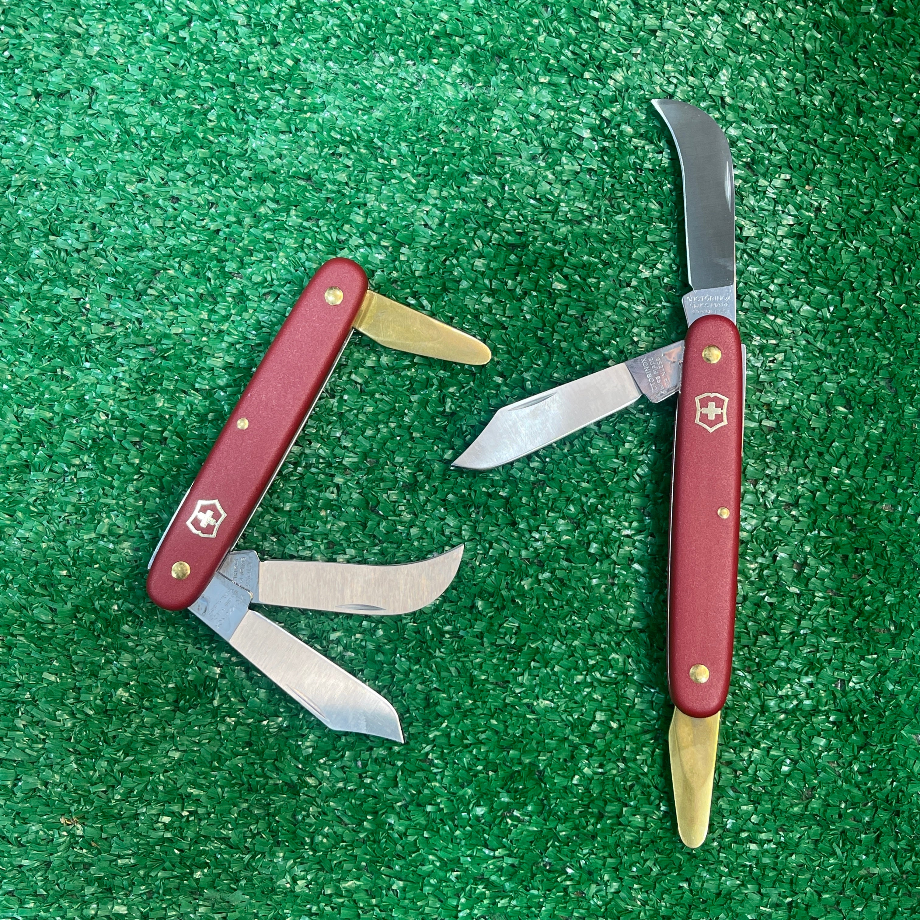 سكين التطعيم السويسري